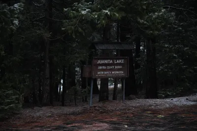 DSC_5837 (Large).JPG